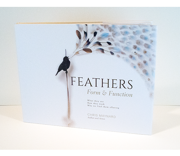 "Feathers - Form & Function" - Chris Maynard